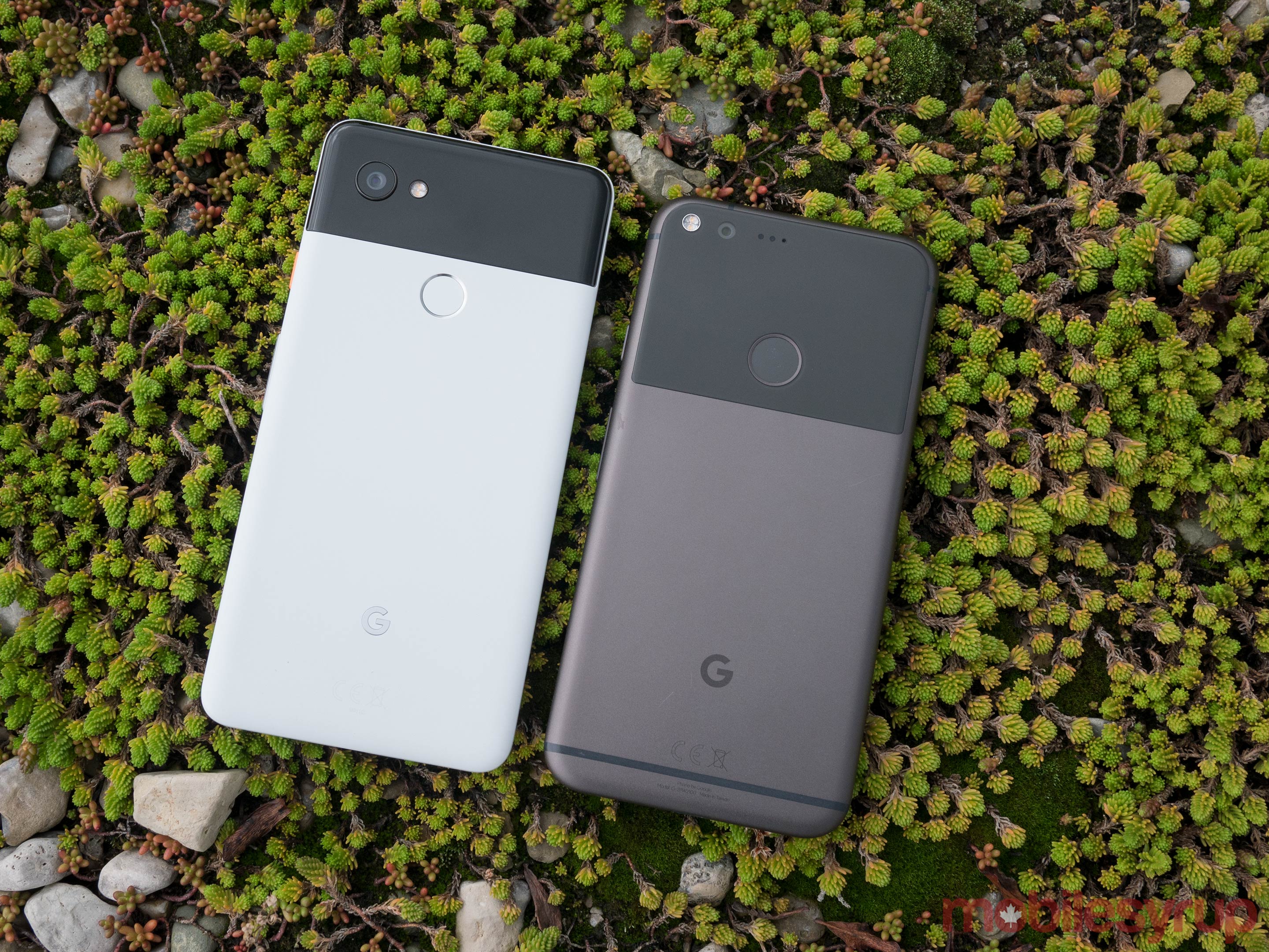 مقارنة بين هاتفي Google Pixel XL و Pixel 2 XL